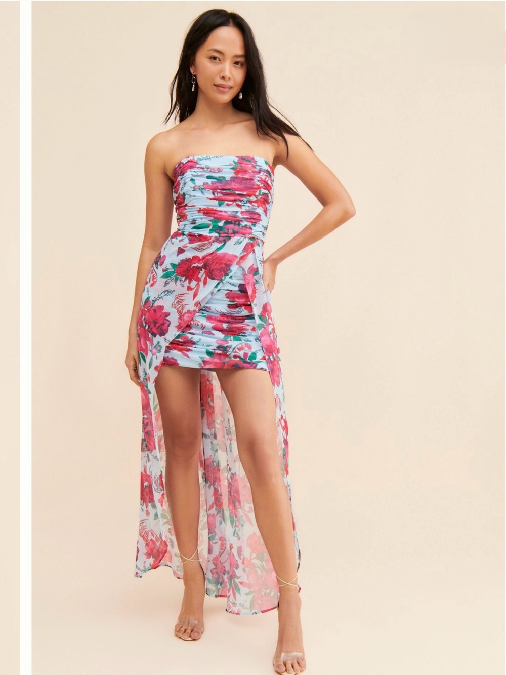 NWT Hutch Lissi Floral High-Low Maxi Dress in the Icy Garden Floral - Size 6